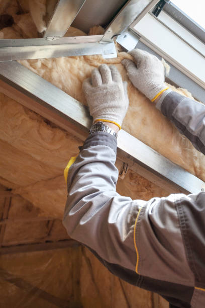 Best Radiant Barrier Insulation  in Piney Green, NC