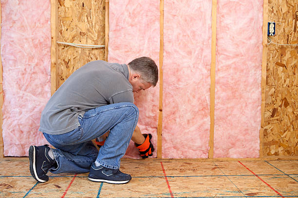 Best Wall Insulation Installation  in Piney Green, NC